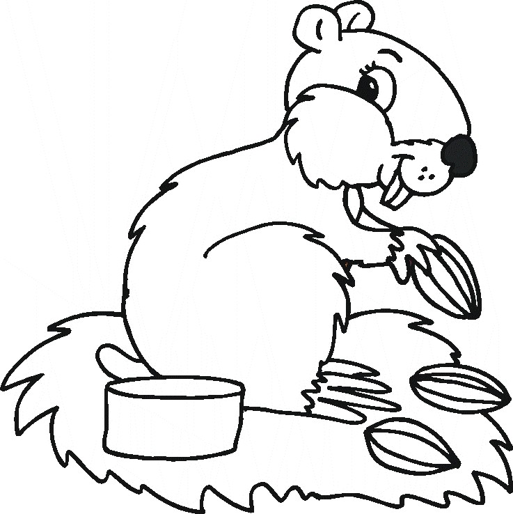 mammal coloring pages - photo #24