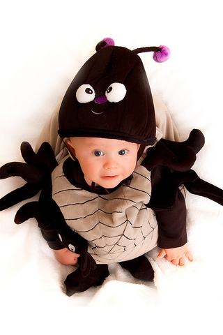 wallpaper cute babies. Cute Halloween spider costume
