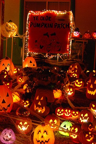 Haloween Wallpaper pumpkin patch