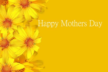 Flowers  Mother on Download Mothers Day Yellow Flowers Card  Pdf