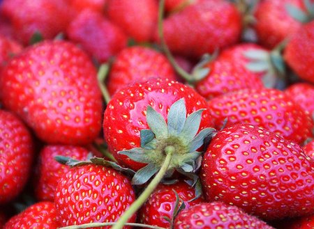 strawberries by Beccag