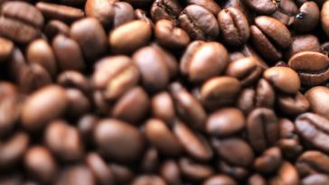 Coffee Beans