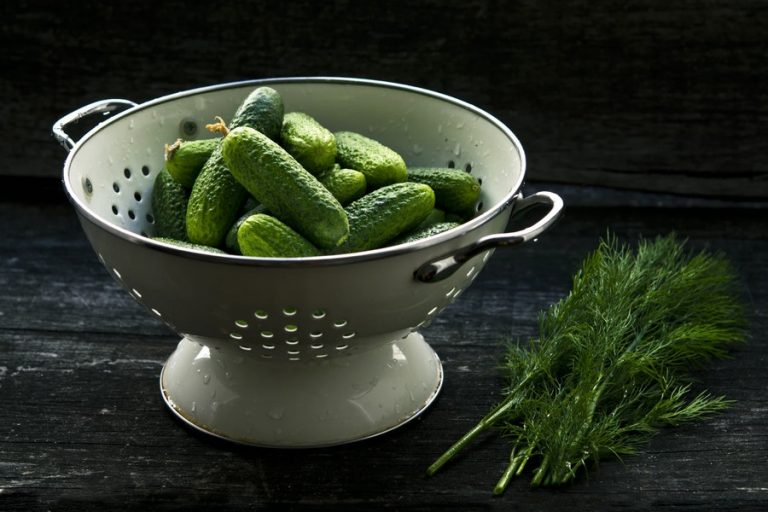 Dill Relish Canning Recipe Home Life Weekly