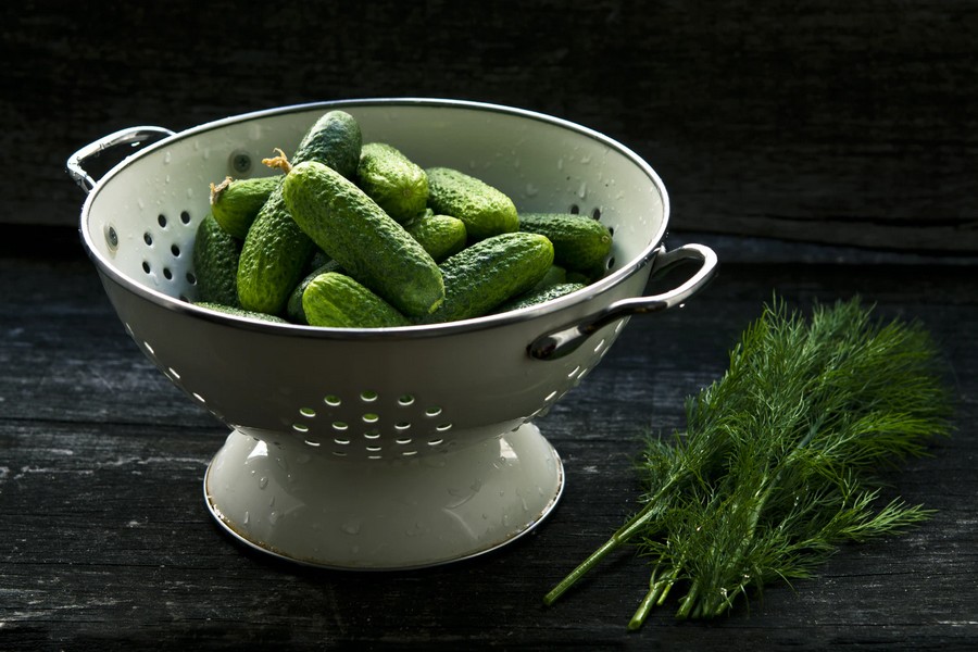 Cucumber and Dill