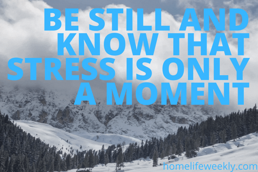 Stress quote be still  and know that stress is only a moment