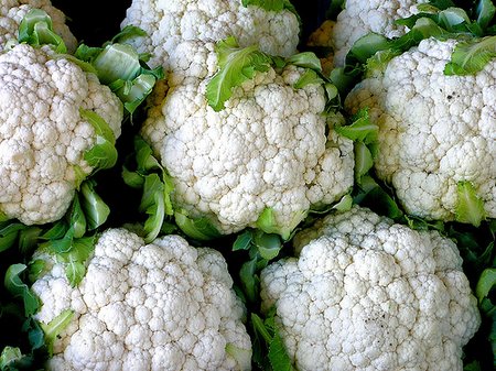 cauliflower photo by muffer