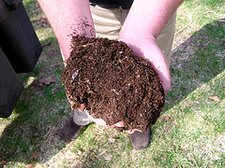 compost in hand