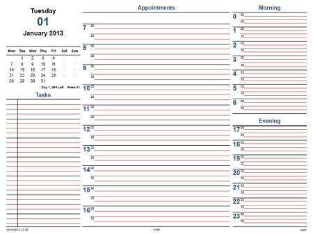 Daily Calendar 2013 Printable