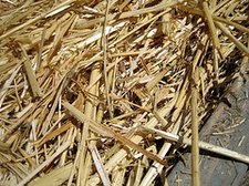 Straw Mulch